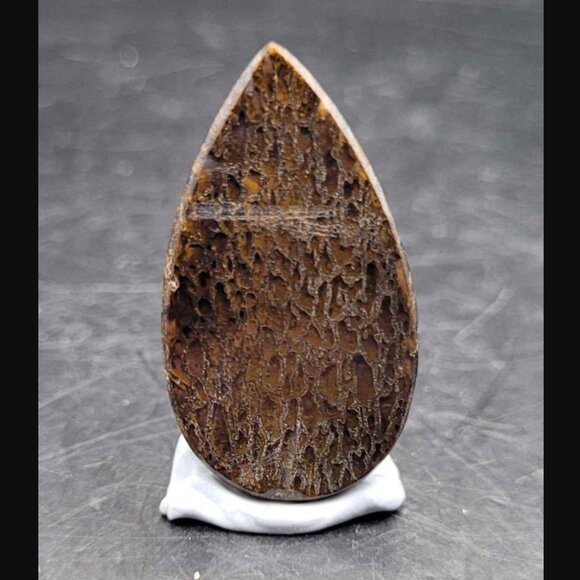 HUGE DEAL Utah Gembone (Dino Bone) Cab Lot of 3- 50.5CTS - Picture 6 of 11